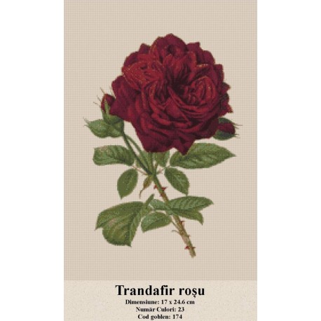 Goblen Trandafir rosu