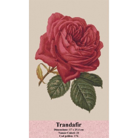 Vanzare set goblen Trandafir