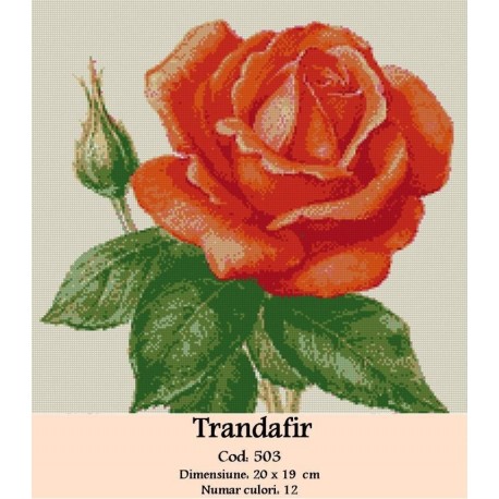 Vanzari set goblen Trandafir