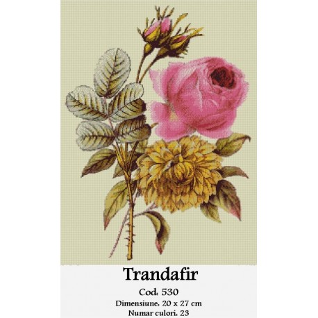 Vanzari set goblen Trandafir