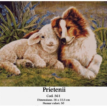 Set Goblen Prietenii