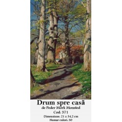 Seturi goblen Drum spre casa