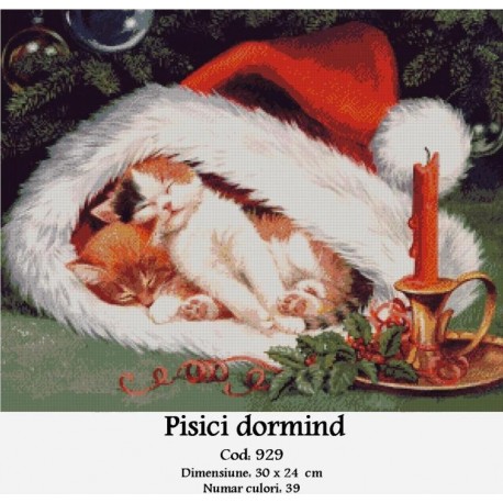 Goblen Pisici dormind