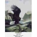 Condorul (kit goblen)