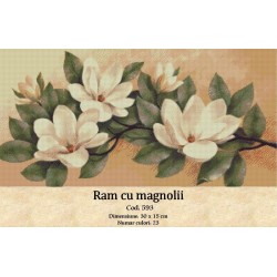 Ram cu magnolii